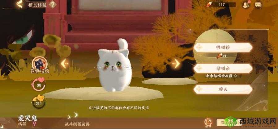忘川风华录手游结喵亲玩法攻略详解：轻松提升亲密度的技巧秘籍与实战指南