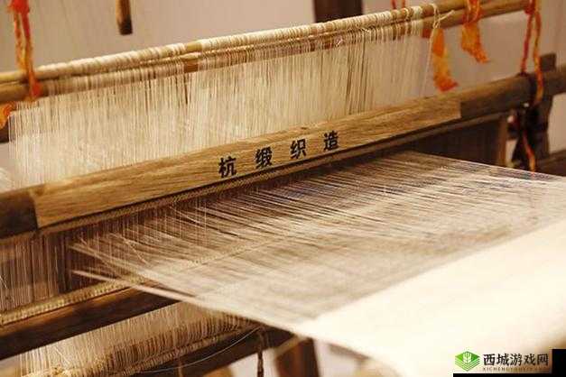 起来还在 C 骨科：坚守与突破