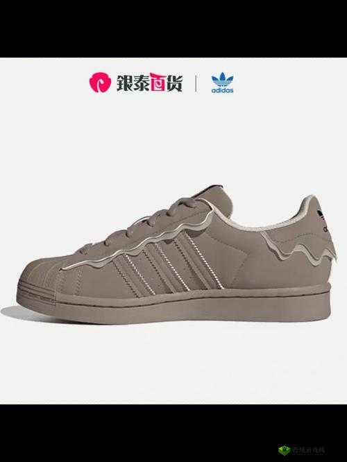 三叶草 gw6797 ：独特的魅力所在