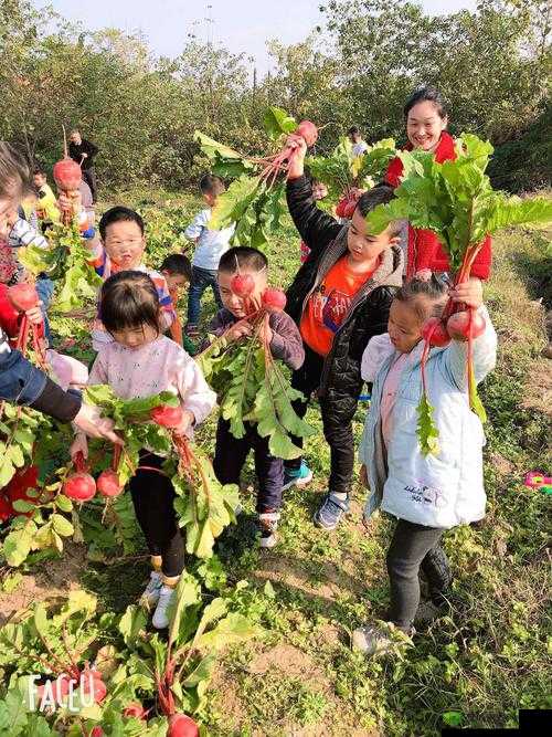 拔萝卜痛又降黄 9.1：独特体验引发关注