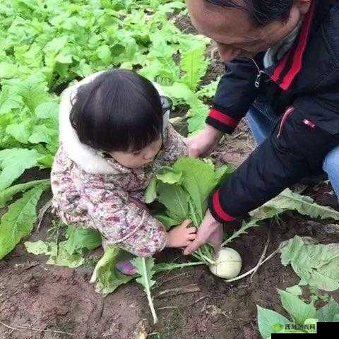 旅行者与丽莎拔萝卜：一场奇妙的田园之旅