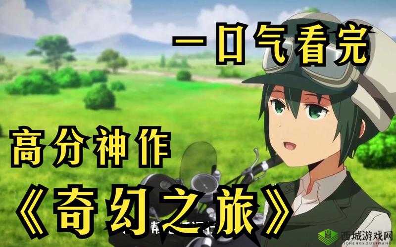 WWW 你会感谢我的：探索未知的奇妙之旅
