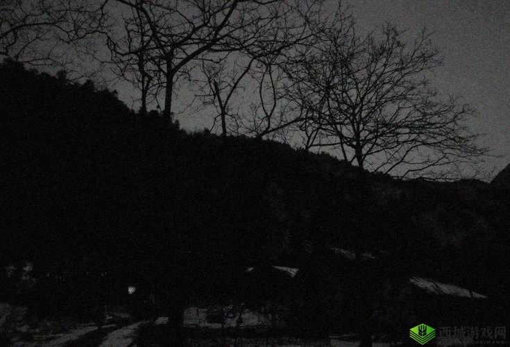 半夜装睡配合孩子阴阳调和短故事：有趣经历