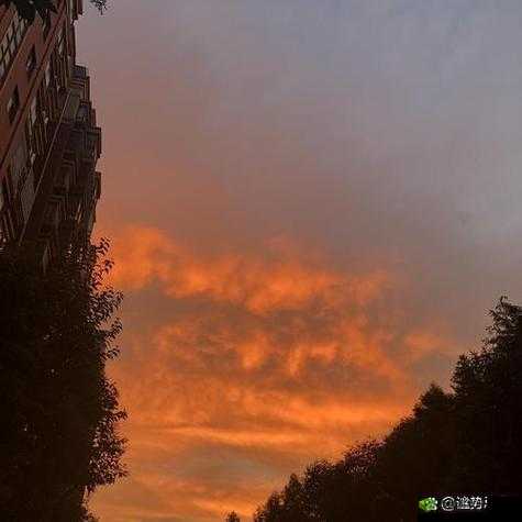 日产 MV 与欧美 MV 的区别：风格、文化与表现形式