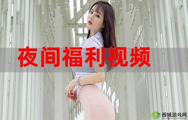 100 款夜间禁用 B 站视频软件：你了解多少