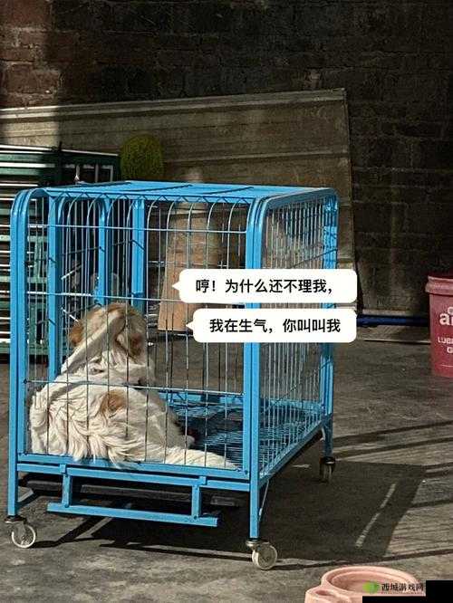 老牛嫩草一二三产品区别是什么：详细对比分析