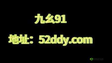 九幺 9·1 破解：深入探究与分析