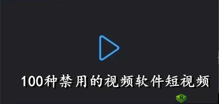 夜里看的 100 多种禁用软件：探秘其危害