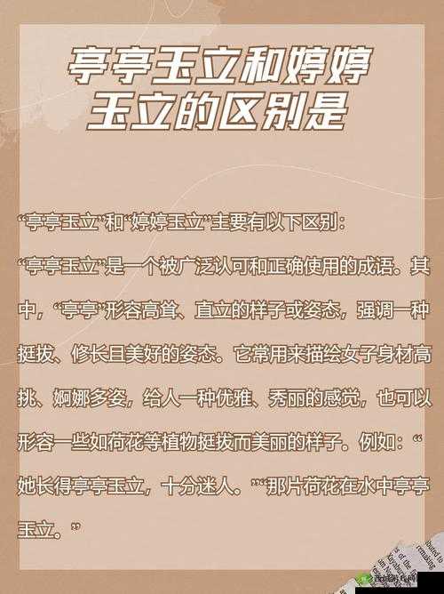亭亭玉立的七月：遇见更好的自己