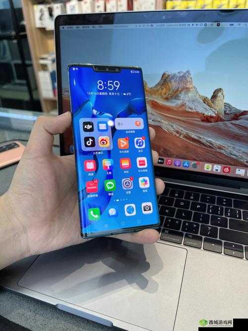 欧美无 mate30pro 巨：独特的存在