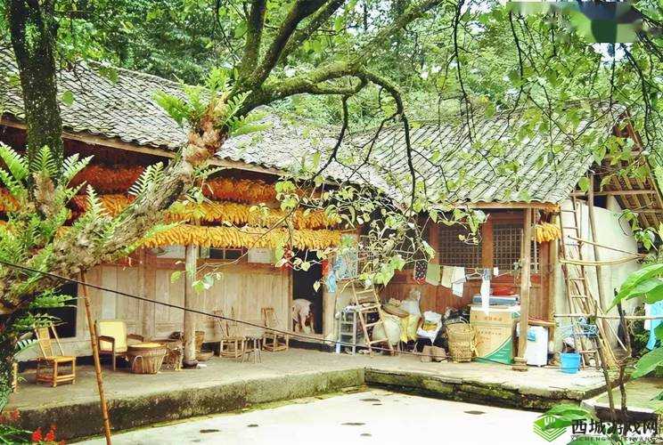 花田小院道具组合攻略：打造完美乡村生活空间