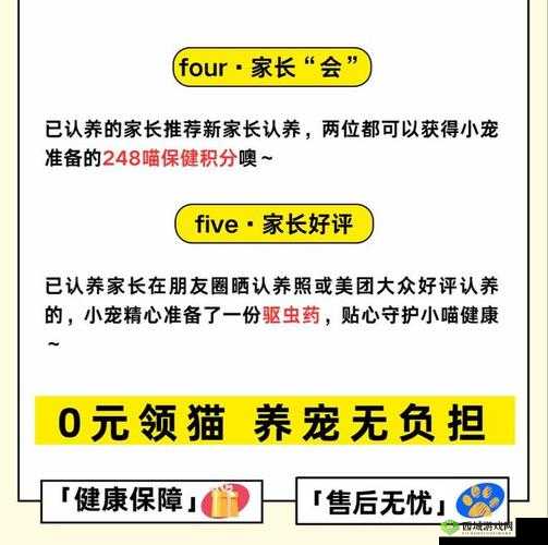 关于宠物邂逅之旅：如何选择与宠物相伴的旅程——新版本宠物属性全攻略解析