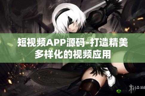 成品短视频源码与热门应用比较：深度剖析