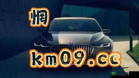 8x8x.io 最新地域网名是啥：相关探讨