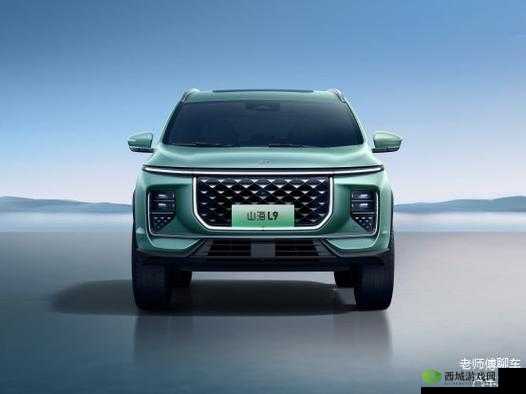 国产 SUV 精二区：探索无限可能