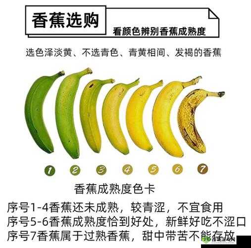 进口香蕉好吃还是国产香蕉好吃：到底谁更胜一筹