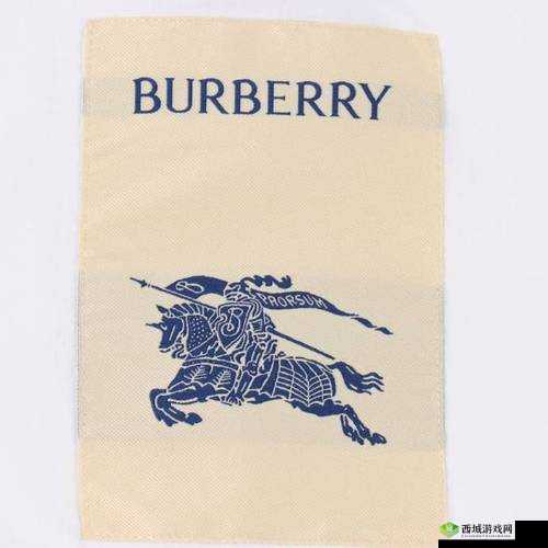BURBERRY 中文免费版：时尚经典来袭