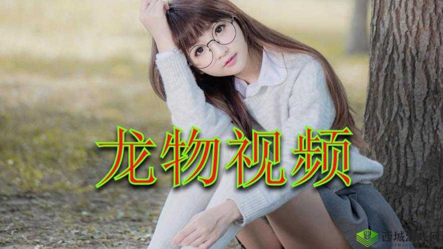 YW 龙物失联：一场离奇的失踪事件