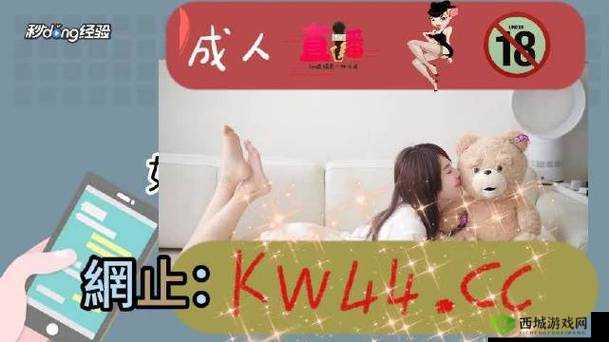 精品无人区码一码二码三码区别：各自特点解析