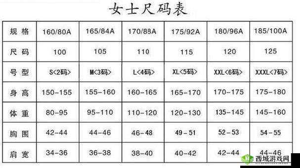 欧洲码欧洲尺码 M 高清：尺寸细节与优势