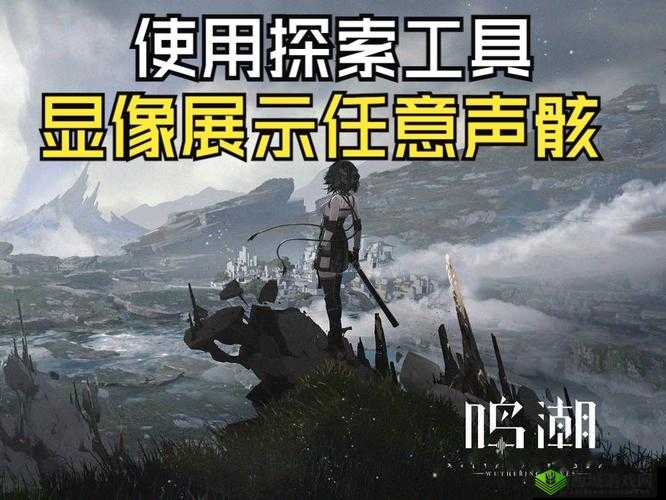 鸣潮声律花蕾有什么用：探索游戏道具的奥秘