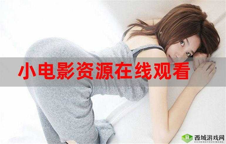 今天高清视频在线观看：精彩内容不断
