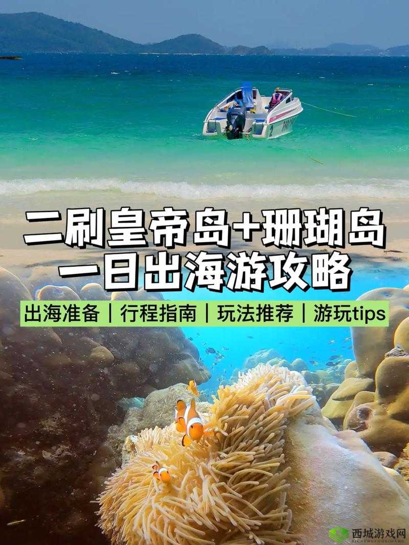 珊瑚岛高收益项目指南