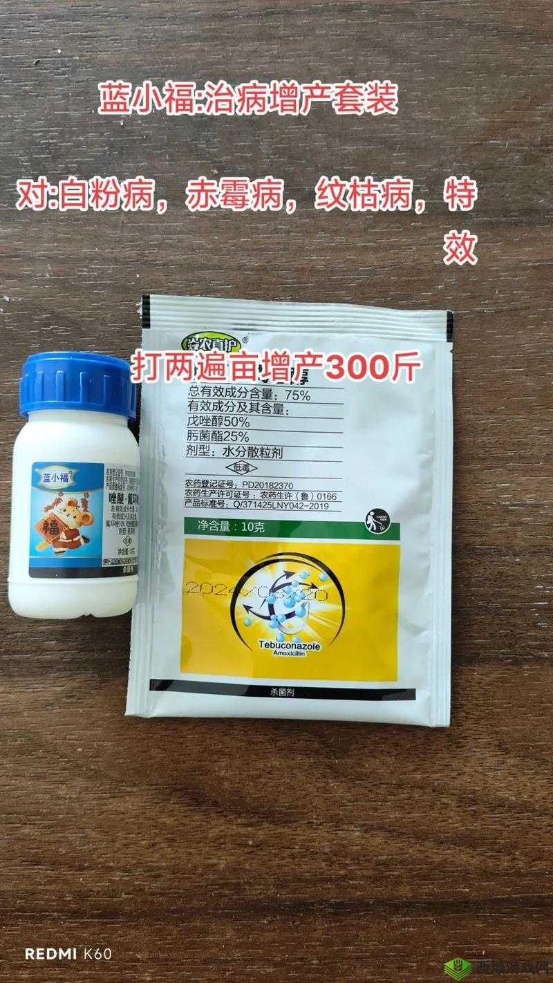 蓝小福的技能属性及获取方法