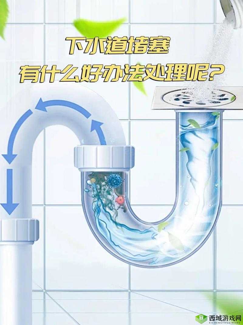 用大宝贝疏通妈妈的下水道好吗：家庭清洁的另类方法？