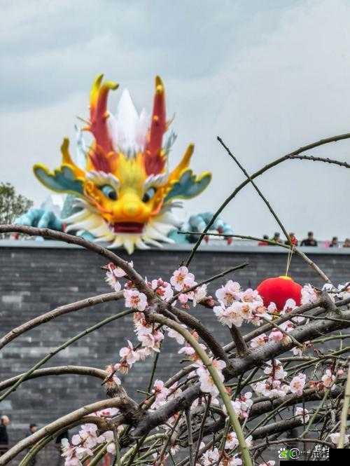 苏语棠闹元宵在线播放国栋：精彩呈现不容错过的元宵盛宴