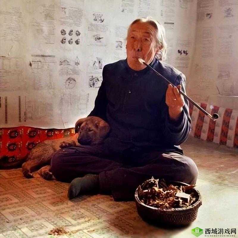 ：关于中国东北老人的真实故事