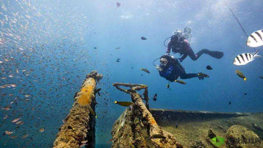 希望传说海底玩法全面曝光，新场景抢先看，揭秘资源管理、高效利用与价值最大化策略