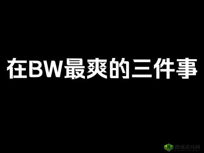 老 BWBWBWBWBW 最简单回答：这就是我想说的一切