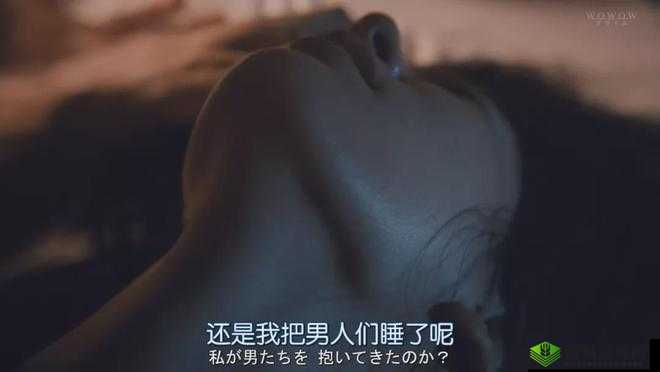 午夜剧场普通用户的精彩剧集之旅