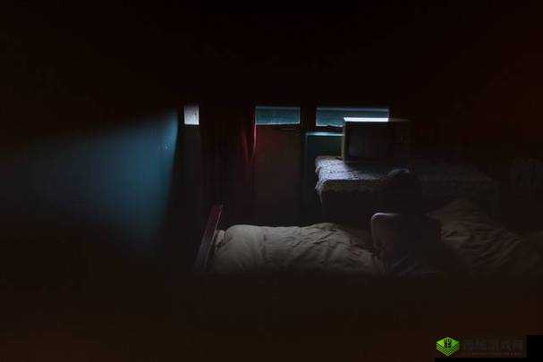 男生晚上睡不着想找点什么：探索夜晚心灵的秘密之旅