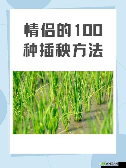 24 种男女插秧法提高效率：探索农业生产新途径