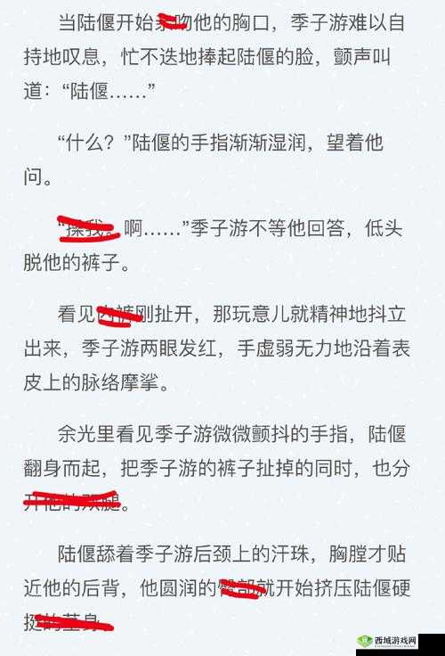 有车车的腐肉双男：一段禁忌与诱惑交织的独特故事