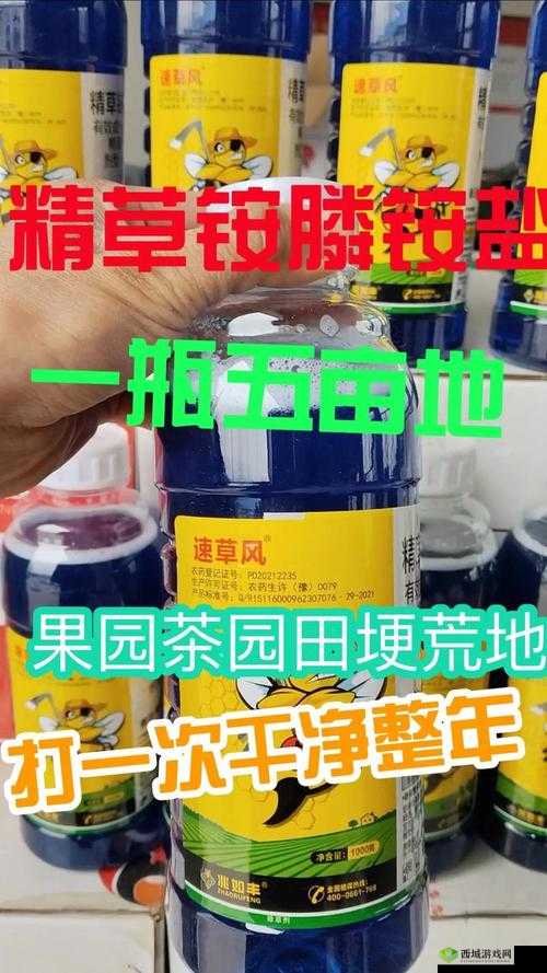 揭秘国精产品一二二线精华液的独特魅力与奥秘