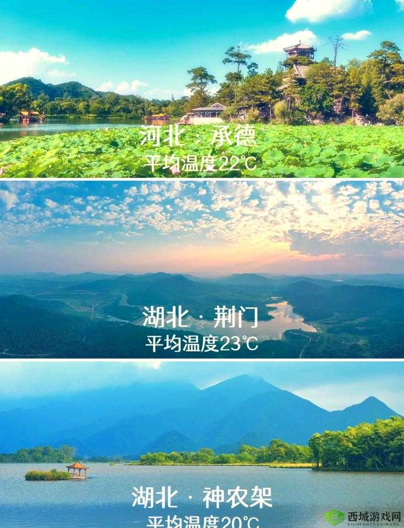伊春园 2023 入口直达大象亲子温馨家庭游：开启幸福之旅