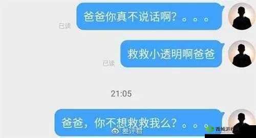 91tv 澳洲华人：揭秘背后的故事