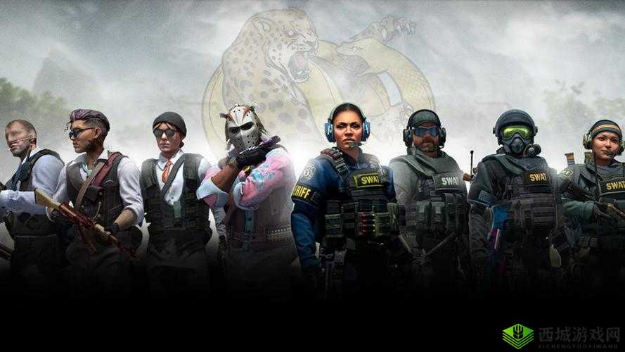 高清大片CSGO类型多多：涵盖多种精彩对战模式与场景