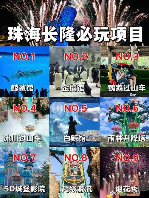 游龙传说，探索多元职业体系，领略精彩绝伦的奇幻冒险之旅
