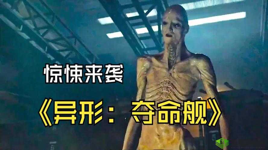 末日封锁下异形生物全面崛起，人类展开顽强抗争与生存之战