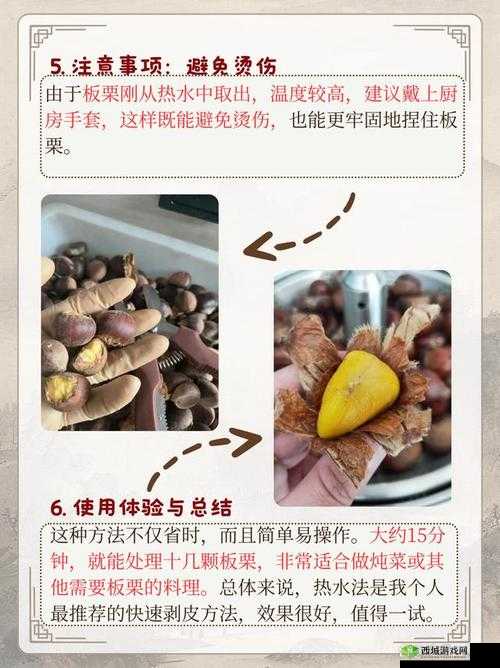 男生可以不可剥皮吗？探讨这一话题背后的科学依据与健康影响