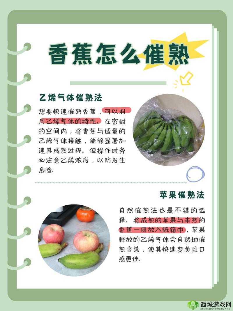 荒岛求生进化，掌握香蕉食用方法与高效资源管理策略至关重要