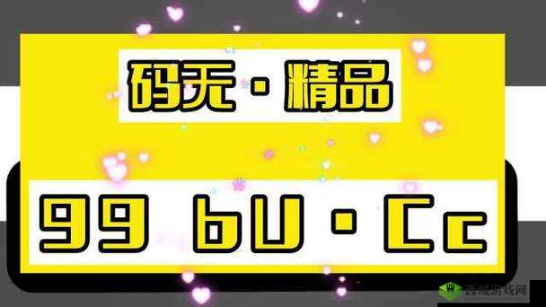 国精产品 999 一区二区三区有哪些限制？是否需要付费？
