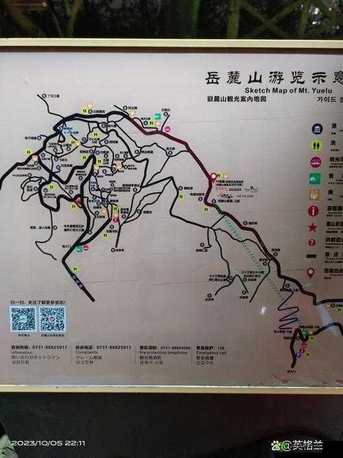 尖叫！九阴真经孔雀山庄隐藏路线大公开！错过血亏！
